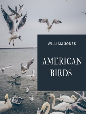 cover image of American Birds